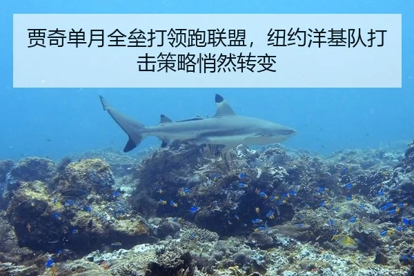贾奇单月全垒打领跑联盟，纽约洋基队打击策略悄然转变