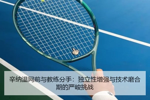 xin-na-wen-wang-qian-yu-jiao-lian-fen-shou-du-li-xing-zeng-qiang-yu-ji-shu-mo-he-qi-de-yan-jun-tiao-zhan-2-344.jpg