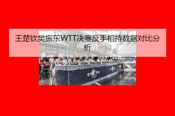 王楚钦樊振东WTT决赛反手相持数据对比分析