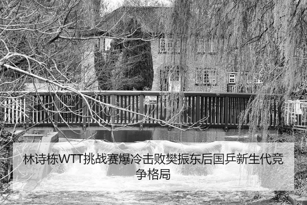 lin-shi-dong-tiao-zhan-sai-bao-leng-ji-bai-fan-zhen-dong-hou-guo-ping-xin-sheng-dai-jing-zheng-ge-ju-3-201.jpg
